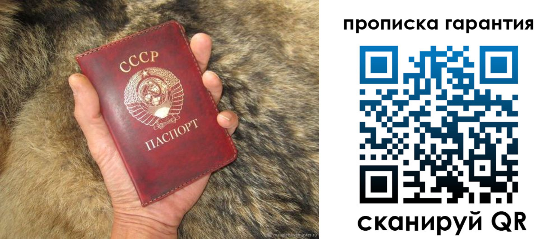 прописка паспорт в Сегеже